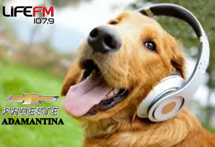 Rádio Life FM em parceria com a Proeste Chevrolet desenvolvem ação em proteção aos animais