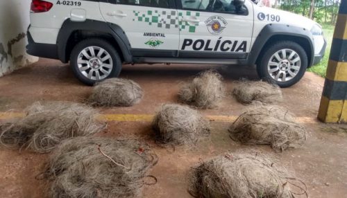 Polícia Ambiental autua dupla em R$ 1,7 mil por pesca em local proibido