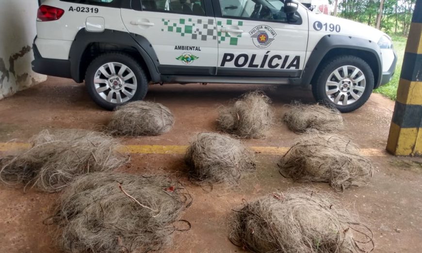 Polícia Ambiental autua dupla em R$ 1,7 mil por pesca em local proibido