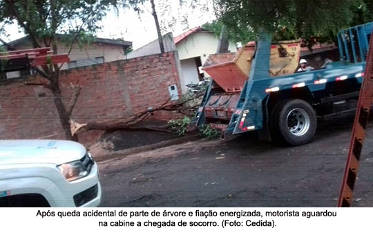 Caminhão derruba parte de uma árvore e fiação elétrica em Adamantina