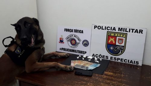 Cão farejador detecta presença de droga em vão de parede e homem é preso em flagrante por tráfico