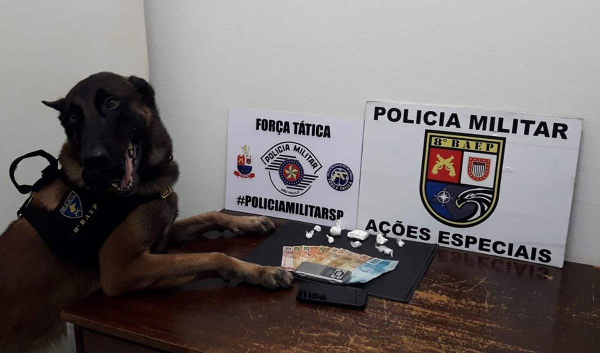 Cão farejador detecta presença de droga em vão de parede e homem é preso em flagrante por tráfico
