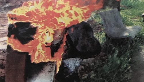 Vândalos incendeiam lixeiras no Parque dos Pioneiros em Adamantina