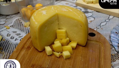 A Queijaria Monte Alegre de Adamantina realiza com sucesso o evento Queijos e Parceiros