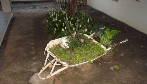 Organização e Mercado Regional...   -  Sérgio Barbosa - Opinião