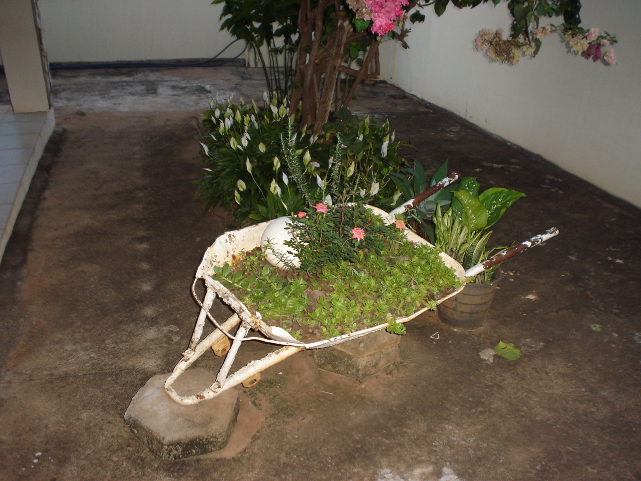 Organização e Mercado Regional...   -  Sérgio Barbosa - Opinião