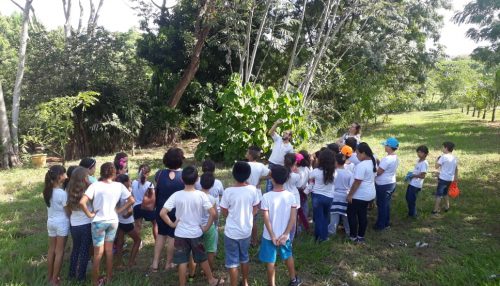 SAAMA realiza na próxima semana, a 1ª atividade do  “Programa Escola Sustentável”, em Adamantina