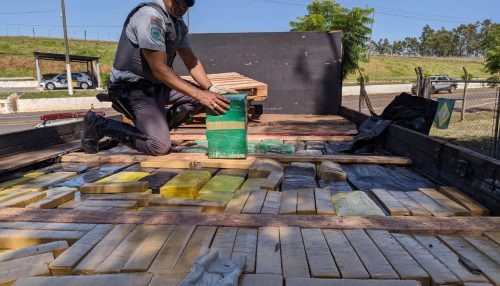 Condutor de caminhão com carga de maconha é preso por Tráfico de Drogas em Parapuã