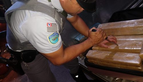 Mulher é presa por Tráfico de Droga em ônibus próximo a Adamantina