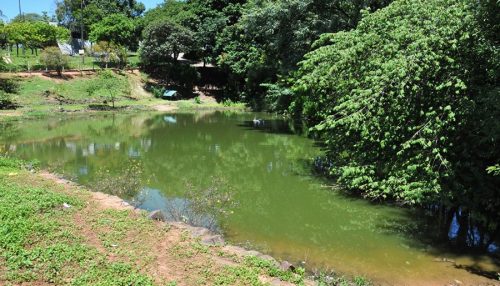 Prefeitura de Adamantina contrata empresa para revitalização da “Praça dos Patos”