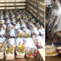 Parque Das Nações   Cestas