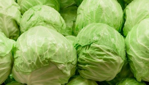 Produtor doa 300 quilos de repolho para o PAA Municipal