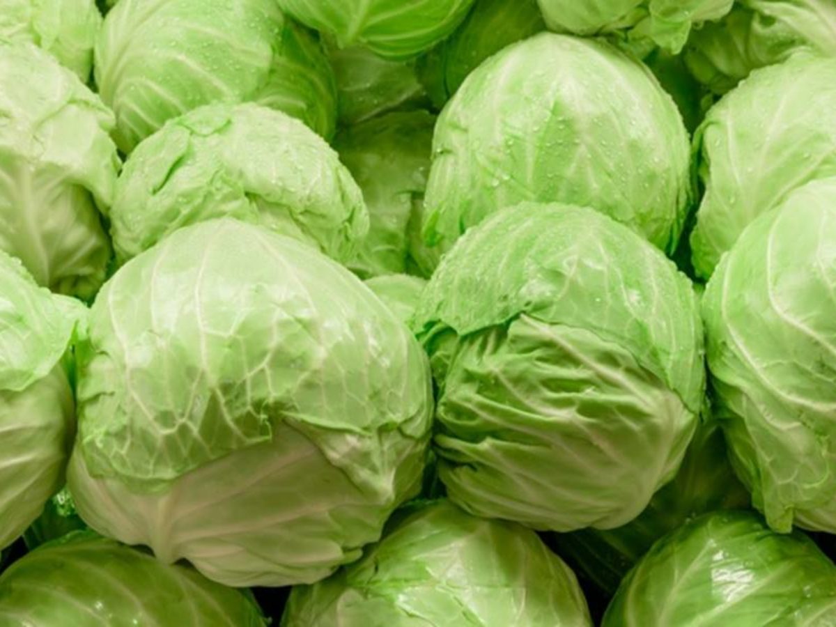 Produtor doa 300 quilos de repolho para o PAA Municipal