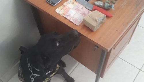 BAEP e Polícia Militar realizam operação e apreendem drogas em Osvaldo Cruz e Salmourão