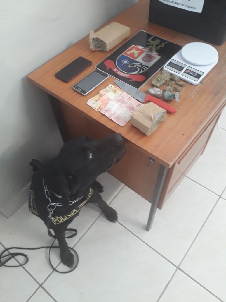 BAEP e Polícia Militar realizam operação e apreendem drogas em Osvaldo Cruz e Salmourão