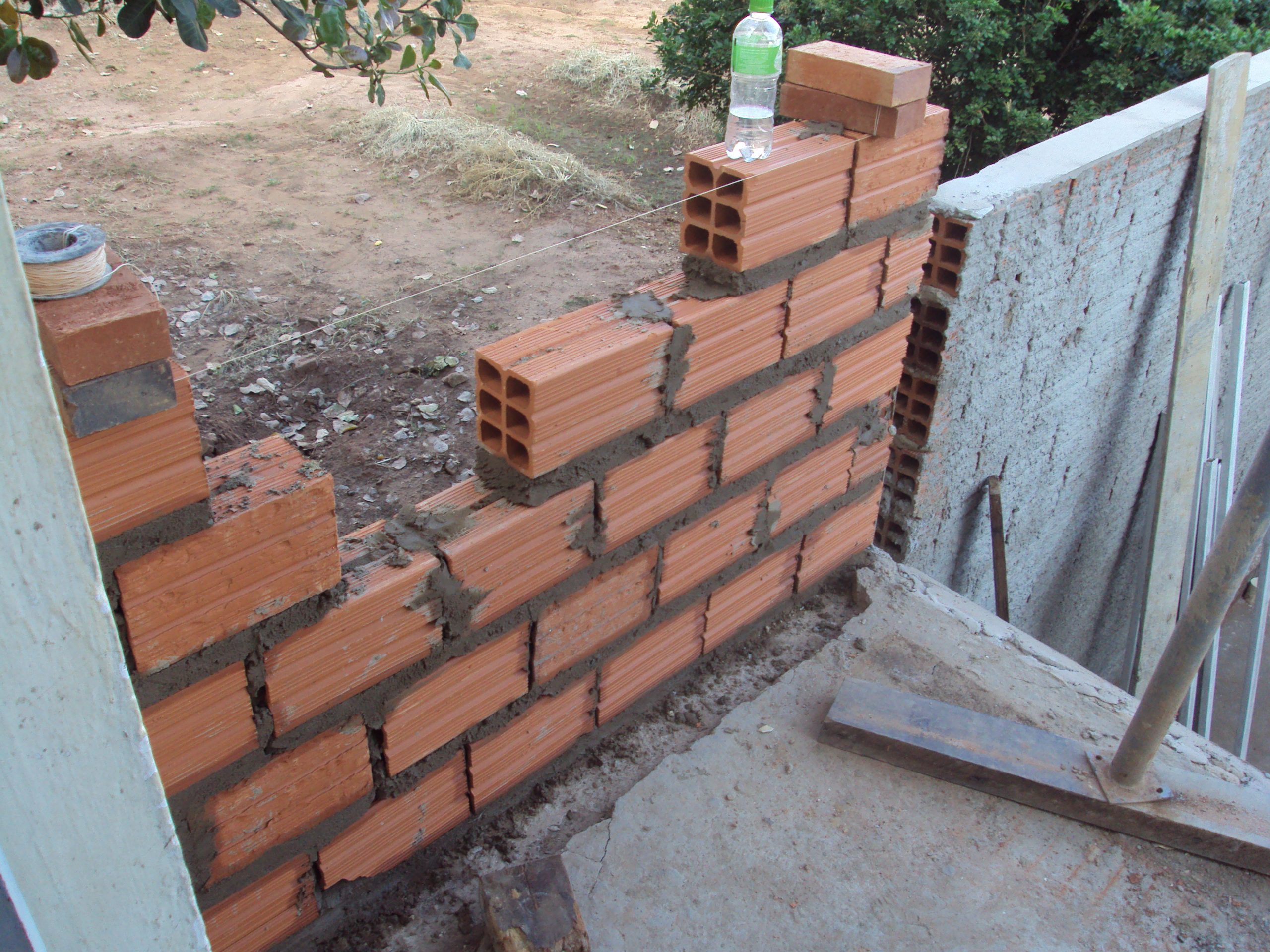 Província, Mentes Bovinas e Eleições...  -  Sérgio Barbosa - Opinião