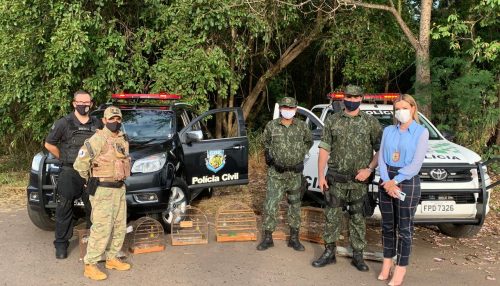 Polícias Civil e Militar realizam soltura de espécies silvestres em Adamantina