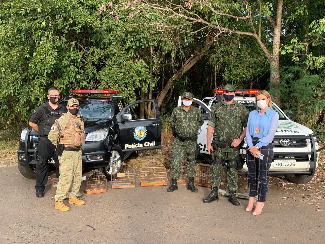 Polícias Civil e Militar realizam soltura de espécies silvestres em Adamantina