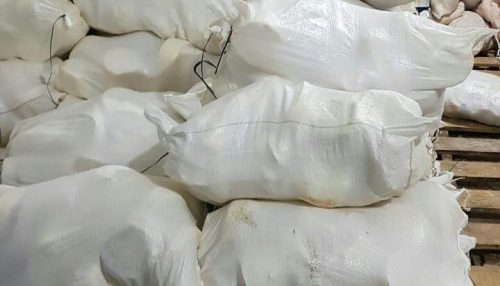 Polícia Militar, após denúncia, fecha fábrica clandestina de queijos e apreende mais de 5 toneladas de produto estragado