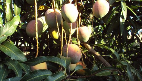 A Província acima de tudo e de todos/as...  - Sérgio Barbosa - Opinião