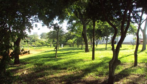 A PROVÍNCIA NO CENÁRIO DO TUDO AO MESMO TEMPO DO TEMPO...   - Sérgio Barbosa - Opinião