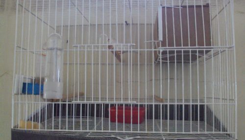 Nas idas e vindas pela Província em tempo de Pandemia... - Sérgio Barbosa - Opinião