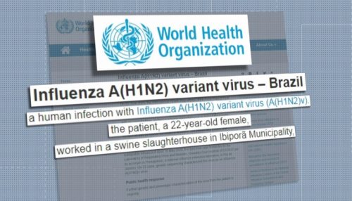 Infecção por variação rara de vírus da gripe é identificada no norte do Paraná, diz OMS