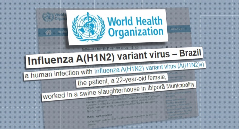 Infecção por variação rara de vírus da gripe é identificada no norte do Paraná, diz OMS