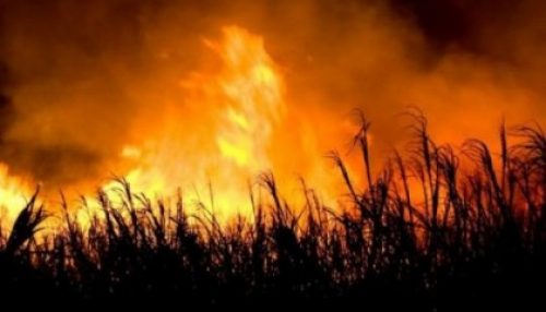 Polícia Ambiental registra duas ocorrências de incêndios em vegetação pela região.