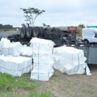 Caminhão Celulose   1