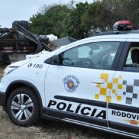 Caminhão Celulose   2