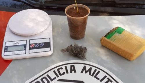 Polícia Militar prende homem por tráfico de drogas, após localizar droga enterrada e maconha plantada em Adamantina