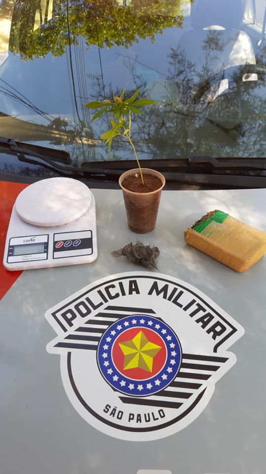 Polícia Militar prende homem por tráfico de drogas, após localizar droga enterrada e maconha plantada em Adamantina
