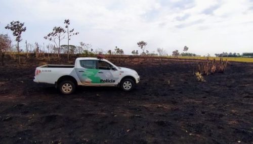 PROPRIETÁRIA DE SÍTIO É AUTUADA EM QUASE R$ 20 MIL POR USO DE FOGO EM ÁREA AGROPASTORIL E QUEIMADA DE 34 ÁRVORES.