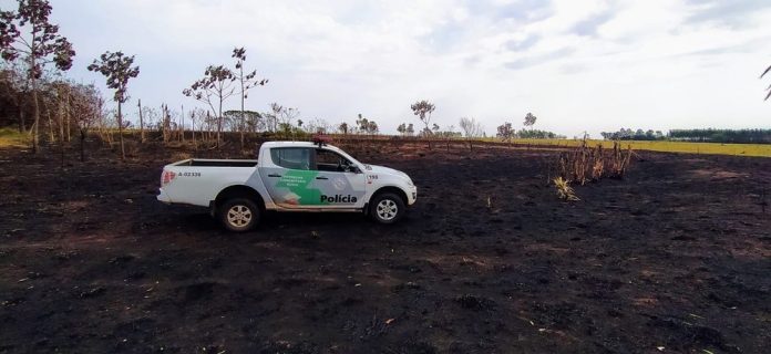 PROPRIETÁRIA DE SÍTIO É AUTUADA EM QUASE R$ 20 MIL POR USO DE FOGO EM ÁREA AGROPASTORIL E QUEIMADA DE 34 ÁRVORES.