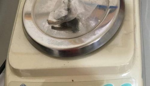 Em Tupi Paulista, após denúncia homem é flagrado com droga para consumo escondida dentro da boca