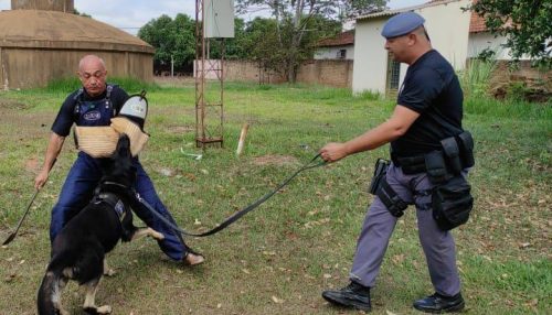 Canil Setorial do 25º BPM/I, realiza encontro em Panorama - SP