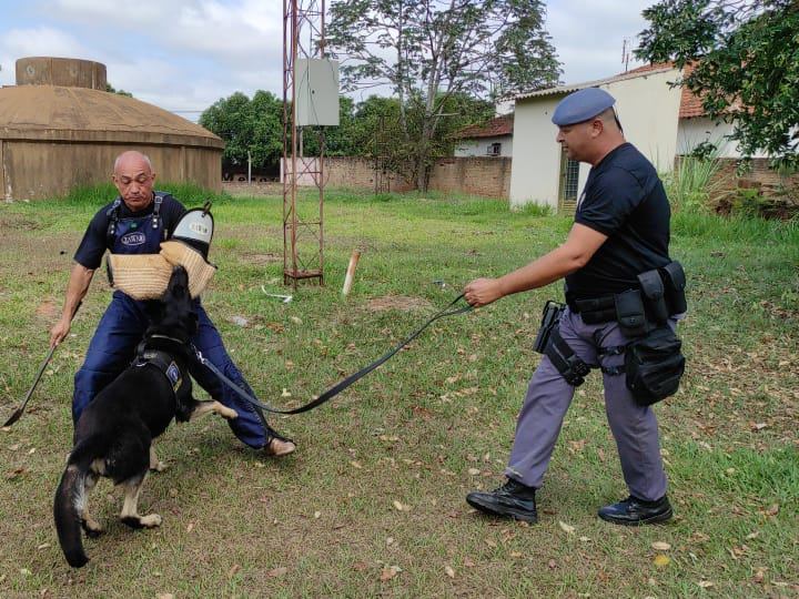 Canil Setorial do 25º BPM/I, realiza encontro em Panorama - SP