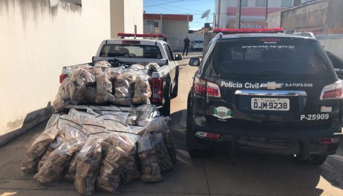 Polícia Civil concede elogios aos policias da Dise