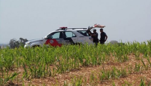 Perseguição policial na SP-425 termina com um bandido morto