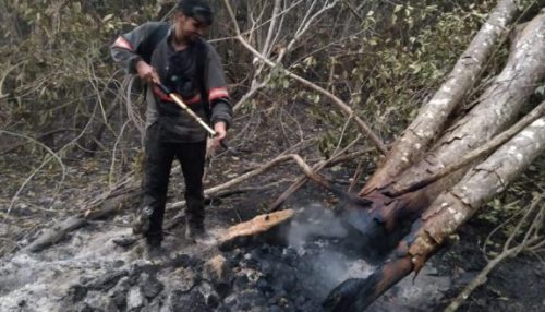 Amigos da região atuam no combate ao fogo do Pantanal