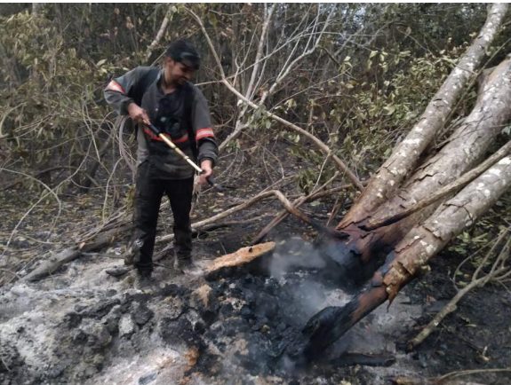 Amigos da região atuam no combate ao fogo do Pantanal