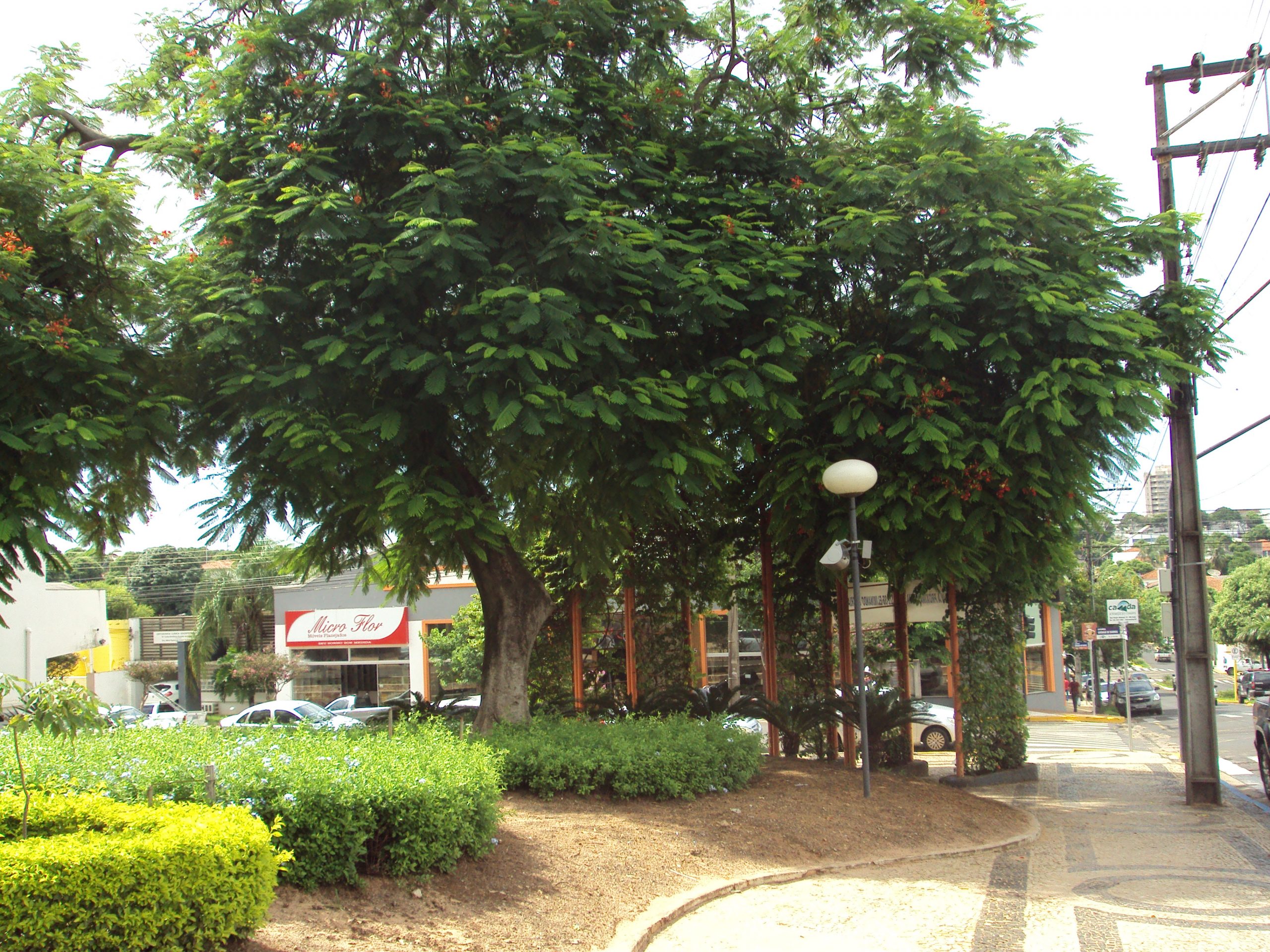 O FARISEU PROVINCIANO...Sérgio Barbosa - Opinião