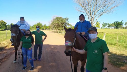 Projeto de Extensão em Equoterapia da UniFAI retoma atendimentos com respeito às normas sanitárias