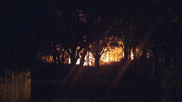Novo incêndio é registrado na vegetação nativa do Salto Botelho, Lucélia - SP