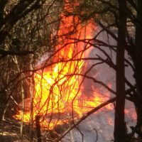 0732e1092815446e813c30fd98b052d6jpg16020981245f7e13cc6f9da