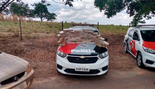 Polícia Militar prende dois indivíduos e grande quantidade de drogas e mais de 47 peças de maconha