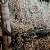 121471516_1498003387054016_7558995520123420670_n