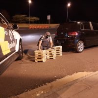 122433882_3532911766756542_4824444777691862068_o