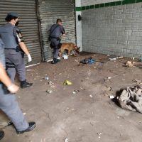 122706795_164079118724237_7274994127706850907_n